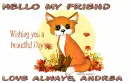 Fox - Andrea