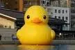 Giant duck