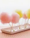 cotton candy 