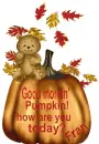Pumpkin-Fran