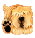 sheepdog toon