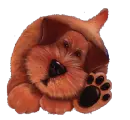 schnauser toon