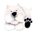 yorkie toon