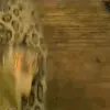 Kung Fu Panda â˜† Stairs