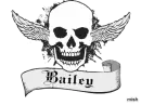 bailey w/b skull