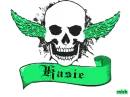 kasie green skull
