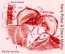 harry and draco