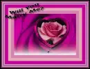 will you marry me