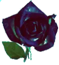 rosss