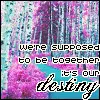 Destiny