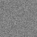 Still Static