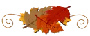 Autumn Divider