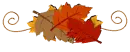 Autumn Divider
