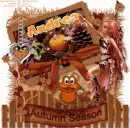 Autumn Season. Andrea