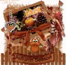 Autumn Season. Mel