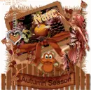 Autumn Season. Nanc