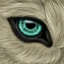 WolfEye