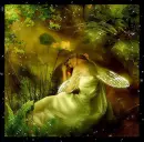 Fairy Dreams