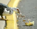 sorry mom, i'm new at this