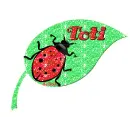 Toti