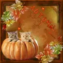 Autumn Kitties