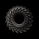 circle of the hands