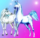 Two Sparkling Unicorns