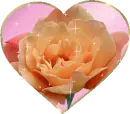 Rose Heart