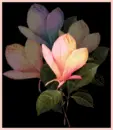 Color Changing Flowers