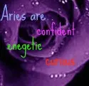 aries