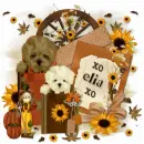 elia