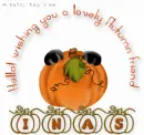 Hello wishing u a lovely Autumn Inas