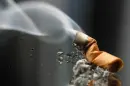 cigar