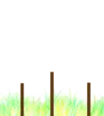 Animasi Bunga 3