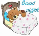 Good night