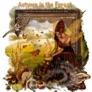 autumn in thr forest