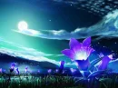 Fantasy 