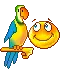 smiley makes parrot laugh