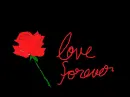 I love you forever