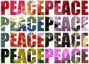 PEACE PEACE