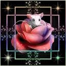 Colorful Mouse