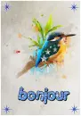 Bonjour