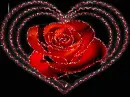 hiba