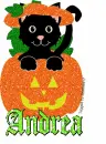 Black cat in Pumpkin - Andrea