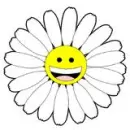 a smiley flower