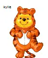 pooh dressed like tigger