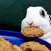Its not what it looks like