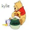 winnie the pooh kylie