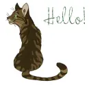 Hello!