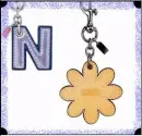 N in coach